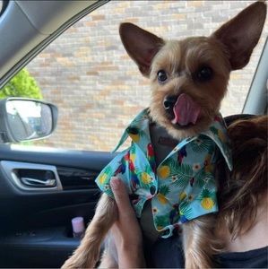 Meet your Posher, Iveta